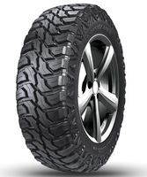 Doublestar T01