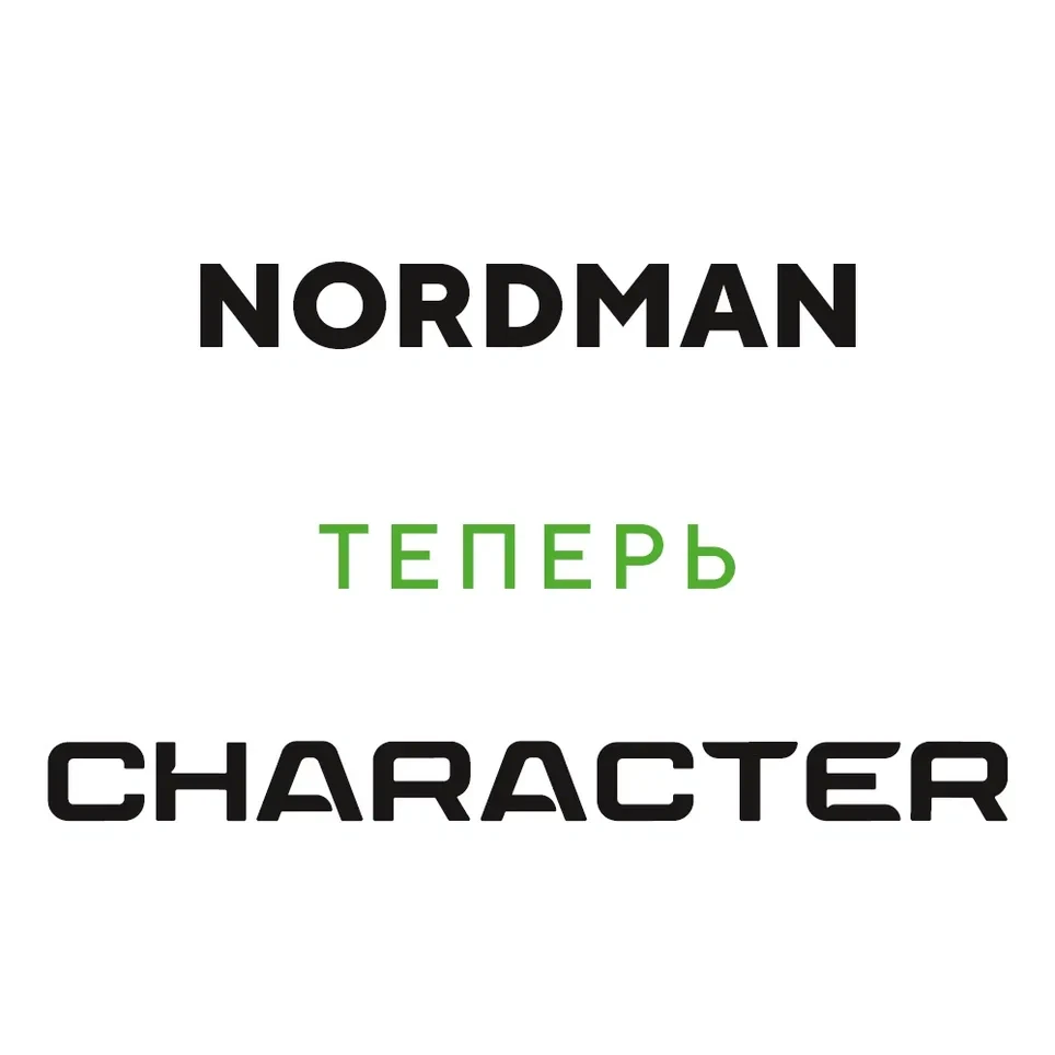 Ikon (Nokian Tyres) Character Eco (Nordman SX3) 185/65 R15 88H цена
